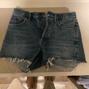 Agolde Parker Vintage Cutoff Short